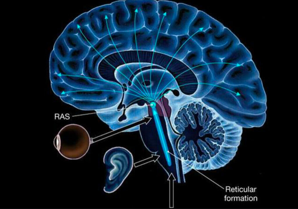 Changing the brain with Psychotherapy in Berlin